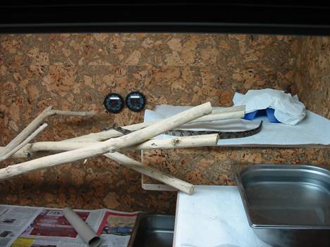 �bersicht Terrarium 1