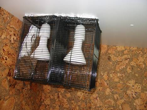 Heizung mit Heat-Protector